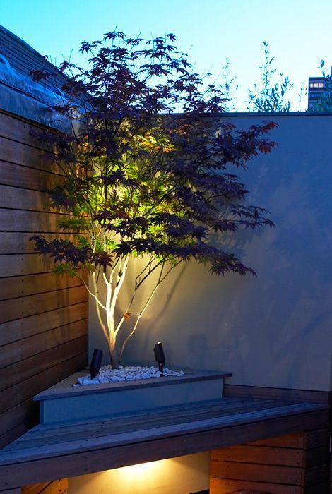 GARDEN LIGHTS